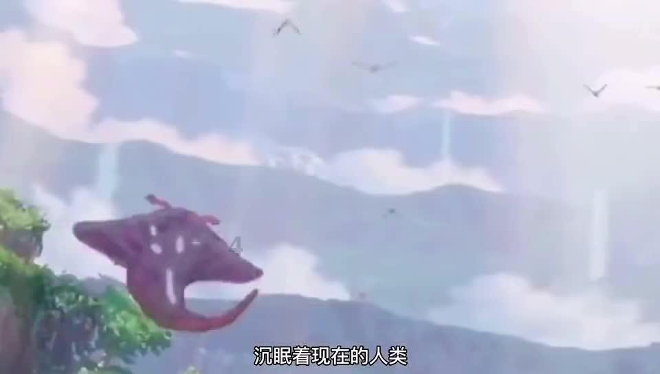 八角改良嫁接忙