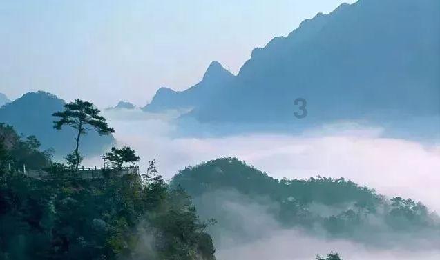 救援花栗鼠